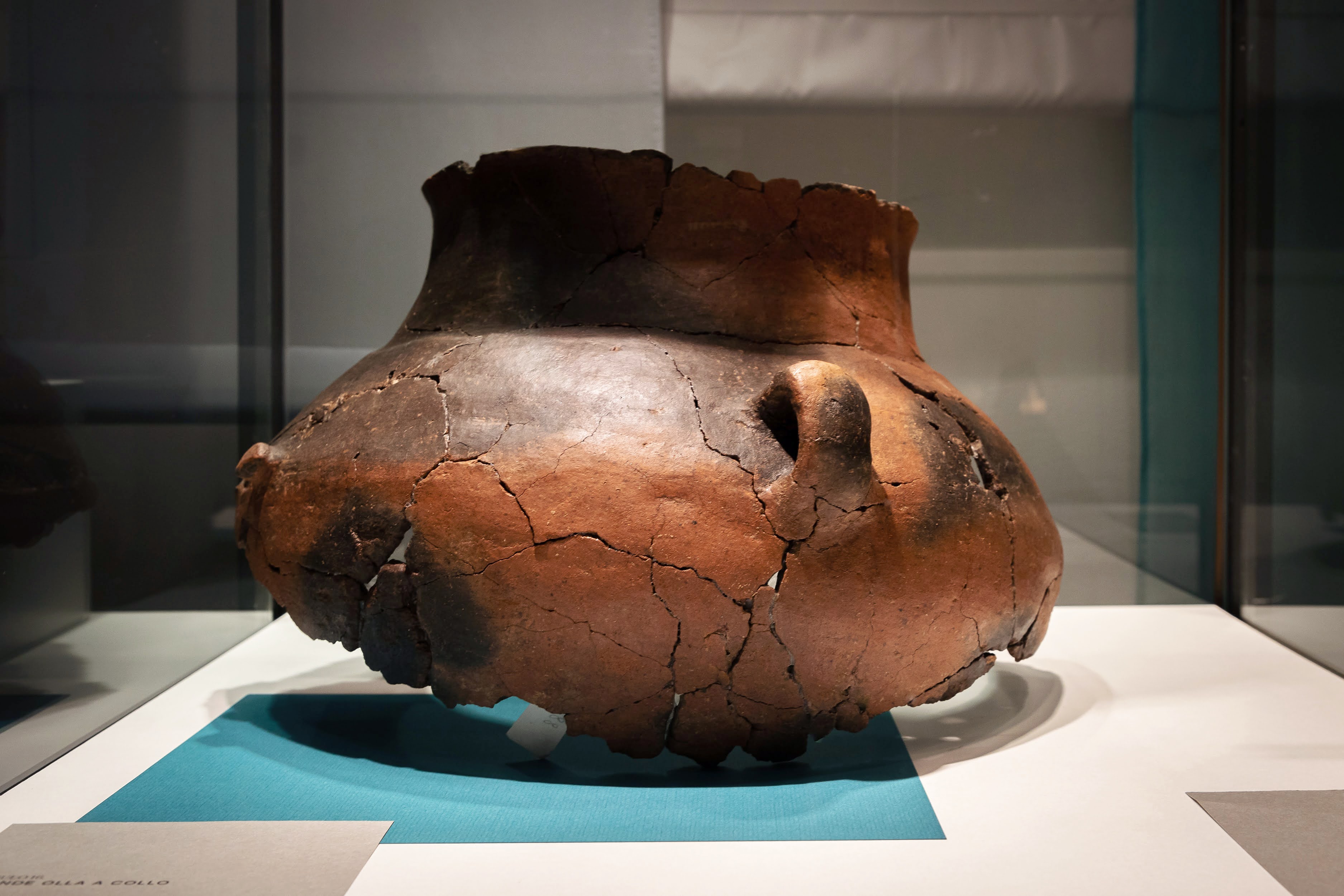 Conn-essi, una necropoli preistorica in mostra a Nogarole Rocca
